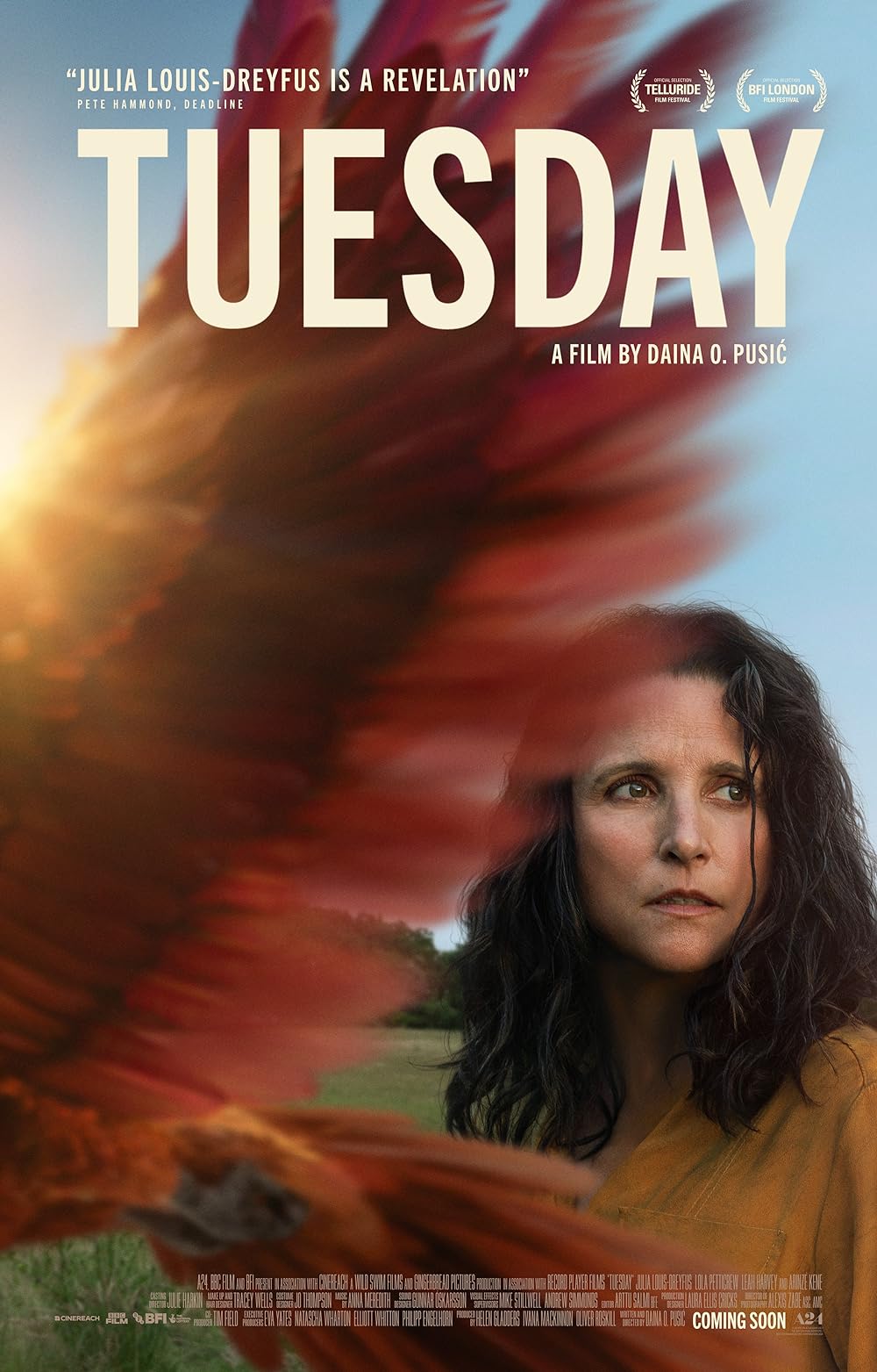 O tuesday